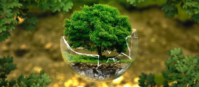 environnement 640x280